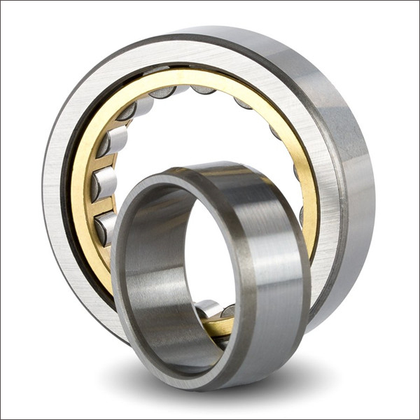 Cylindrical Roller Bearing 